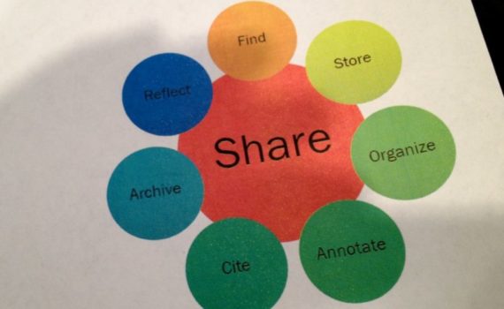 Network of service in Sicily